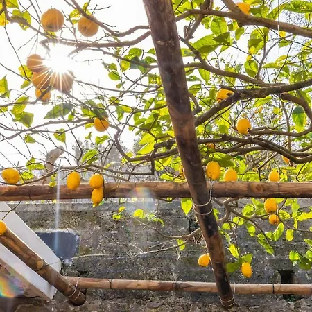 ヴィラ La Gioiella